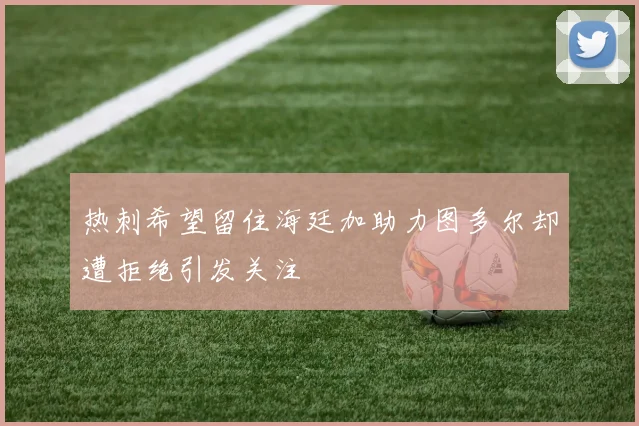 热刺希望留住海廷加助力图多尔却遭拒绝引发关注