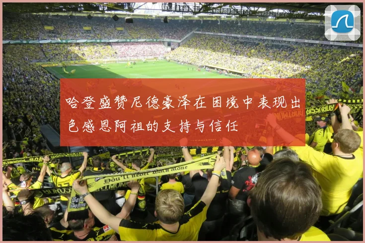 哈登盛赞尼德豪泽在困境中表现出色感恩阿祖的支持与信任