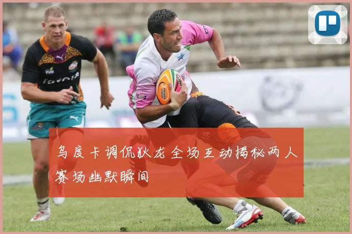 乌度卡调侃狄龙全场互动揭秘两人赛场幽默瞬间