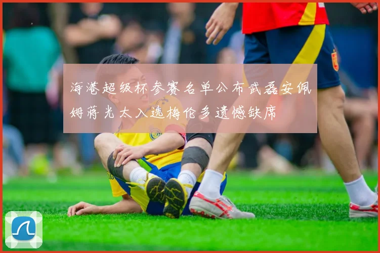 海港超级杯参赛名单公布武磊安佩姆蒋光太入选梅伦多遗憾缺席