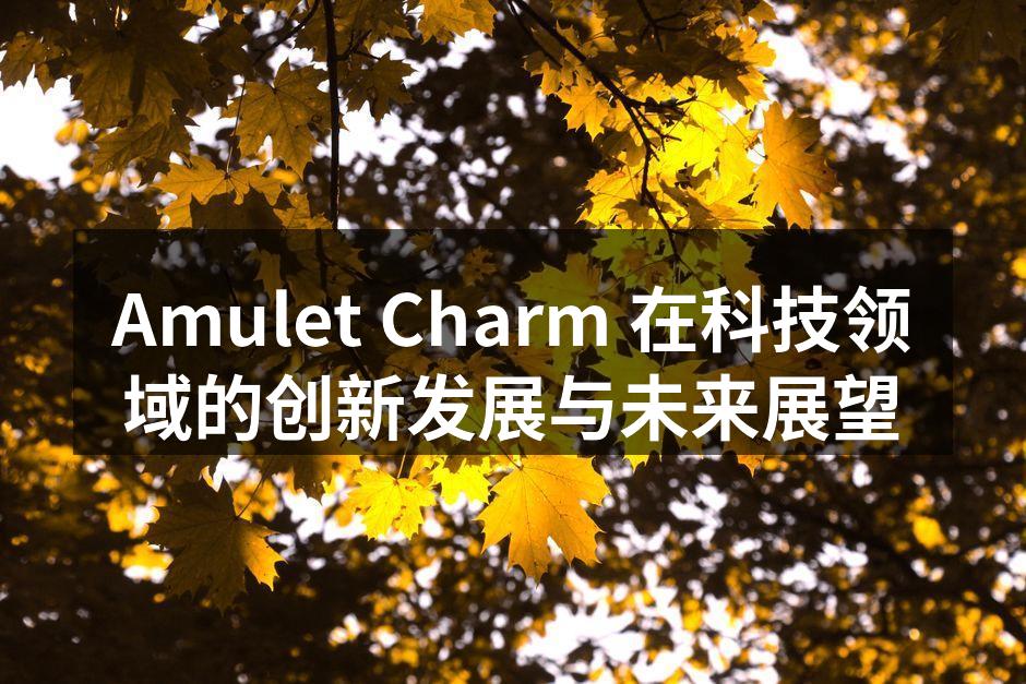 Amulet Charm 在科技领域的创新发展与未来展望